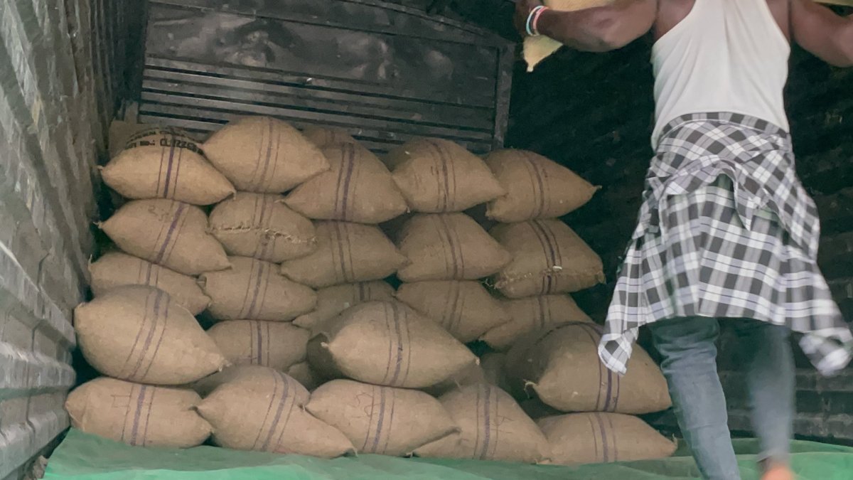 Cocoa Beans